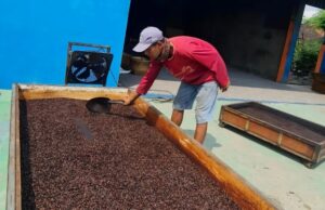 Capital inicial de 21 millones de IRS, la rotación del café Pandawa de la Cuaresma es ahora 30 millones de IDR por día Capital inicial de 21 millones de IRS, la rotación del café Pandawa de la Cuaresma es ahora 30 millones de IDR por día
