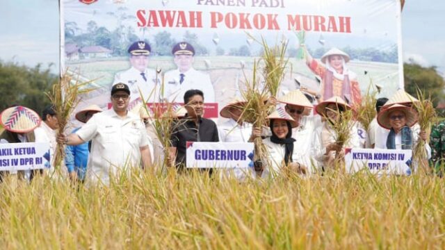 La Comisión IV del DPR destaca la innovación de la cultura de arroz ecológica en Agam Regency

