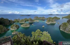Kemenpar propone la forma del manejo cruzado del equipo de Raja Ampat Kemenpar propone la forma del manejo cruzado del equipo de Raja Ampat