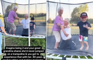 84 años salta sobre un trampolín por primera vez con su bisnieto (exclusivo) 84 años salta sobre un trampolín por primera vez con su bisnieto (exclusivo)
