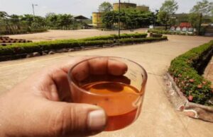 Bakrie Sumatera Plantations Ventas de bolsillo de IDR 497 mil millones y ganancias operativas IDR 84 mil millones en el trimestre I-2025