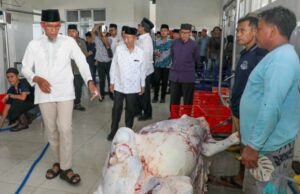 Baznas Processing Beef Sacrificial So Corned para una distribución más fácil