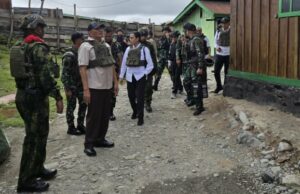 Conflicto de Sambangi, Defensa y Ministro de Asuntos Exteriores Revisión de TNI Troops en Papua