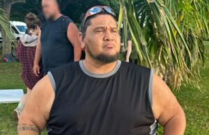 Bee & Stitch Andctor \ ‘2th Jush Sauter Mort Bee & Stitch Andctor '2th Jush Sauter Mort