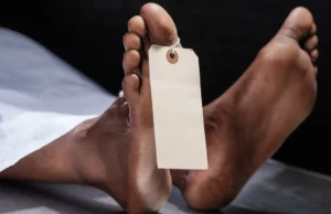 Un muerto, 11 heridos después de docenas de disparos en Carolina del Norte, dicen oficial One dead, 11 injured after dozens of shots fired in North Carolina, say officials