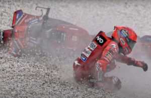 Este animal tiene un papel importante en la seguridad de los corredores de MotoGP.