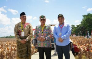 La presencia del Presidente en Bengkayang desencadena el espíritu de realizar la autocomisión de los alimentos Kehadiran Presiden di Bengkayang picu semangat wujudkan swasembada pangan