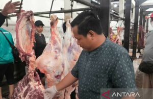 RPH Jatimulya Bekasi abre servicios de servicio de animales de sacrificio estándar RPH Jatimulya Bekasi abre servicios de servicio de animales de sacrificio estándar