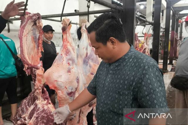 RPH Jatimulya Bekasi abre servicios de servicio de animales de sacrificio estándar


