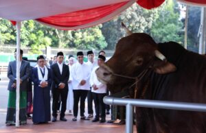 APPSI: Los agricultores se sienten a la clase después del presidente Prabowo Borong casi mil vacas APPSI: Los agricultores se sienten a la clase después del presidente Prabowo Borong casi mil vacas