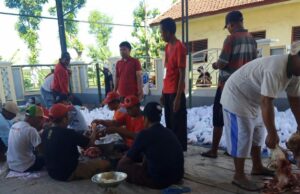 ¡Alerta! Probolinggo encontró un caso de gusanos de hígado en Eid al -adha 2025 Animales de sacrificio ¡Alerta! Probolinggo encontró un caso de gusanos de hígado en Eid al -adha 2025 Animales de sacrificio