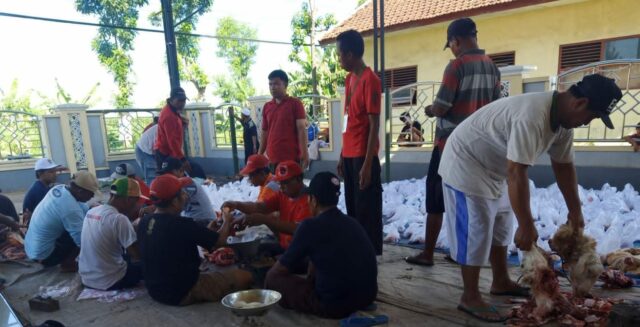 ¡Alerta! Probolinggo encontró un caso de gusanos de hígado en Eid al -adha 2025 Animales de sacrificio

