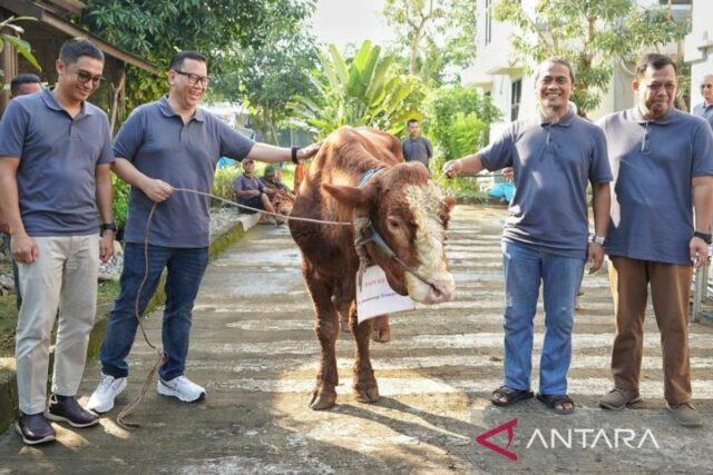 Jasamarga Transjawa peaje comparte bendición 60 animales de sacrificio

