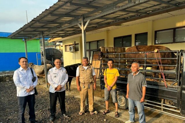 BCE da 3 vacas a los residentes de Jampangtengah Sukabumi

