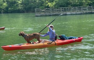 Casino Stay y Aqua Blaze Casino Stay y Aqua Blaze