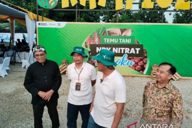 El fertilizante de Kujang hace la parcela de masa de nitrato NPK en varias áreas

