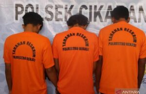 Práctica de descarga de la policía de las ventas de medicina dura para el mostrador de modo móvil Práctica de descarga de la policía de las ventas de medicina dura para el mostrador de modo móvil