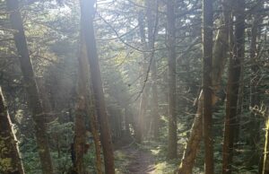 NY, CT y MA … el más empinado NY, CT y MA ... el más empinado