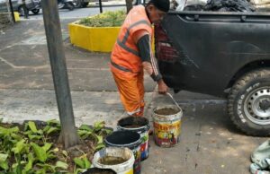 Los desechos de sacrificio de animales de sacrificio en el oeste de Yakarta se usan como fertilizante orgánico Los desechos de sacrificio de animales de sacrificio en el oeste de Yakarta se usan como fertilizante orgánico