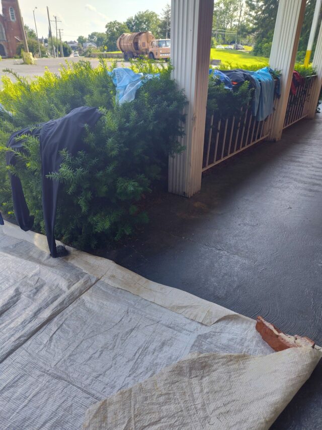 Altra shoes ruins our walk

