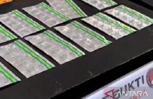 La policía regional de Karawang arrestó a un puesto de comestibles relacionado con narcóticos La policía regional de Karawang arrestó a un puesto de comestibles relacionado con narcóticos