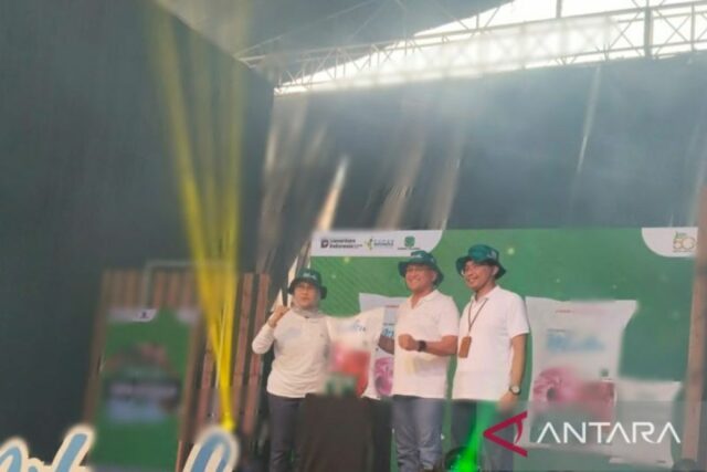 El fertilizante oficial de Kujang lanza nuevos productos de fertilizantes de nitrato NPK

