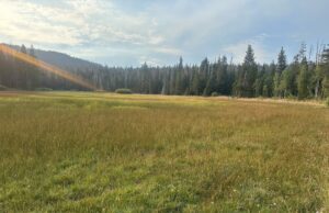 Why am I walking on the PCT? Why am I walking on the PCT?