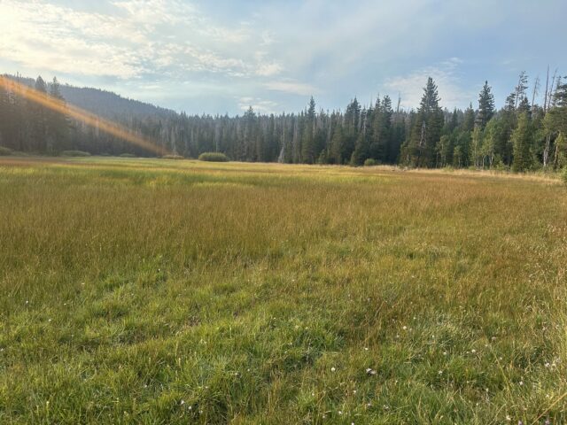 Why am I walking on the PCT?


