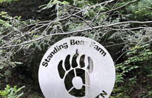 Reminders of the risks we take Reminders of the risks we take