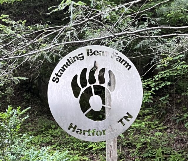 Reminders of the risks we take

