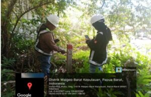 Kemenhut prepara pasos legales relacionados con las actividades mineras en la región de Raja AMPAT Kemenhut prepara pasos legales relacionados con las actividades mineras en la región de Raja AMPAT