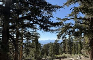 Día 48-52 – Trek Día 48-52 - Trek