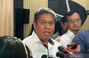 KKP llama actividades mineras en Raja AMPAT tiene el potencial de causar sedimentación KKP llama actividades mineras en Raja AMPAT tiene el potencial de causar sedimentación