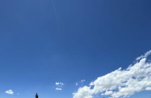 PCT Day 71 – 74: Entering Yosemite desert PCT Day 71 - 74: Entering Yosemite desert