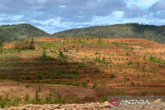 Proteger el antiguo ecosistema minero con rehabilitación holística

