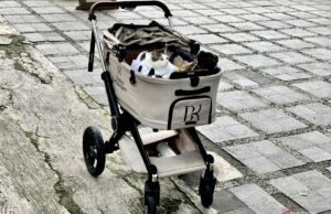 Estilo de Bobby Kertanegara usando Koko blanco cuando Eid al -adha Estilo de Bobby Kertanegara usando Koko blanco cuando Eid al -adha