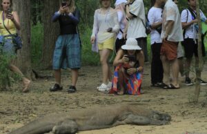 El gobernador de NTT espera que se mejore la gobernanza del turismo de Labuan Bajo El gobernador de NTT espera que se mejore la gobernanza del turismo de Labuan Bajo