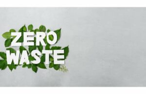 La madera tropical es ahora el jugador principal de la energía verde