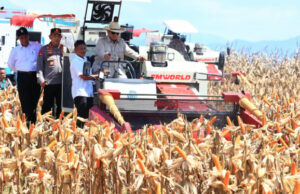 POLRI afirma el compromiso de apoyar la autoesuficiencia del maíz