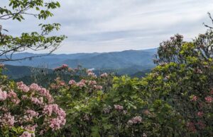 Magic of the Path of the Service Station in Fontana Village Magic of the Path of the Service Station in Fontana Village