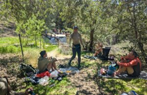 DAY 35 – TO KELSO VALLEY RD DAY 35 - TO KELSO VALLEY RD