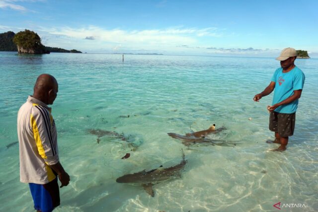 El Ministro de Turismo declara que la zona turística de Raja AMPAT es segura para visitar los turistas

