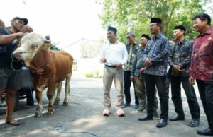SIG se extendió 237 animales de sacrificio en 20 provincias de áreas operativas
