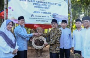 Sacrificio de vacas presidenciales por 2.000 huérfanos