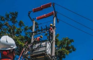 Se considera que las exportaciones eléctricas a Singapur fortalecen la posición de RI como un jugador global en el sector de la energía verde