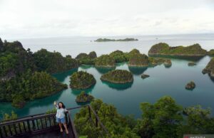 Miti le pidió al gobierno que actuara decisivamente la minería de níquel supuestamente dañada por el entorno de Raja AMPAT Miti le pidió al gobierno que actuara decisivamente la minería de níquel supuestamente dañada por el entorno de Raja AMPAT