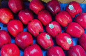 Tensiones de India-Pakistán: el movimiento de ‘prohibir Turquía’ gana impulso en Pune de los comerciantes, residentes India-Pakistan tensions: ‘Ban Turkey’ movement gains momentum in Pune