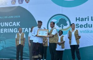 Kalpataru Lestari Consistencia clave ambiental para Indonesia Kalpataru Lestari Consistencia clave ambiental para Indonesia