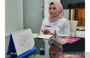 Todavía había 779 mujeres embarazadas en la edad de los niños en East Lombok para 2024 Todavía había 779 mujeres embarazadas en la edad de los niños en East Lombok para 2024