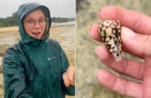 Girl se vuelve viral compartiendo con caparazón mortal (exclusivo) Girl se vuelve viral compartiendo con caparazón mortal (exclusivo)